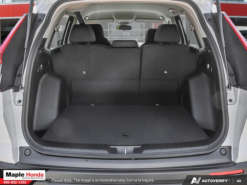 Cargo area open