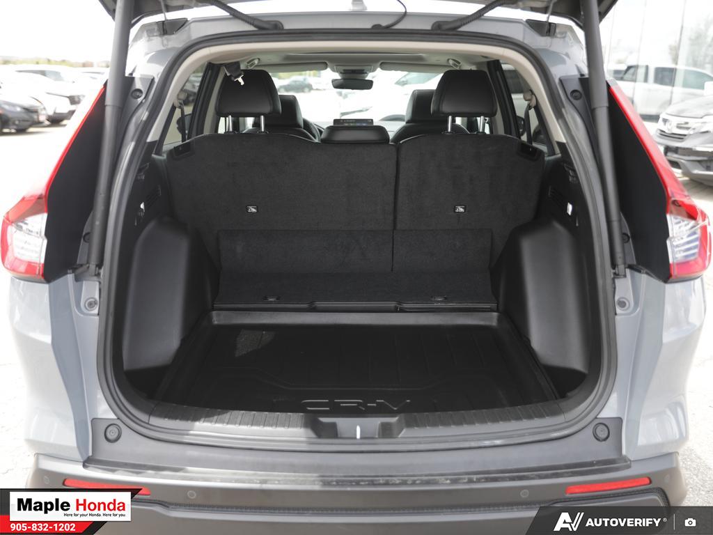Cargo area open