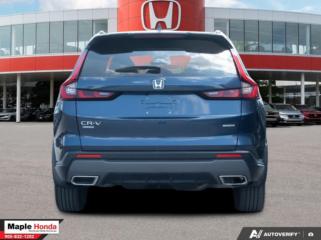 Rear straight-on exterior view