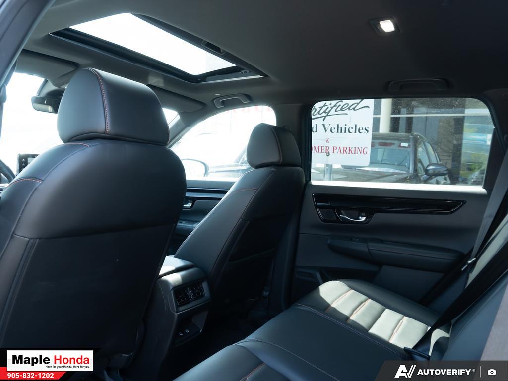 Rear seat looking back with panoramic moonroof visible