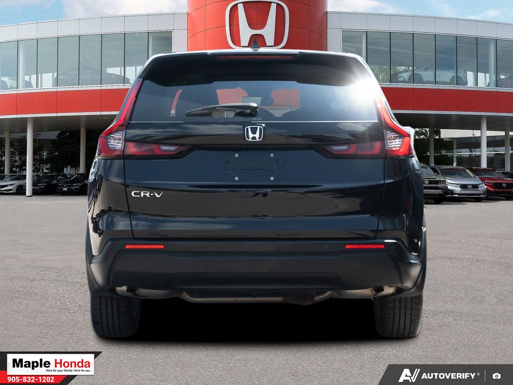 Rear straight-on exterior view
