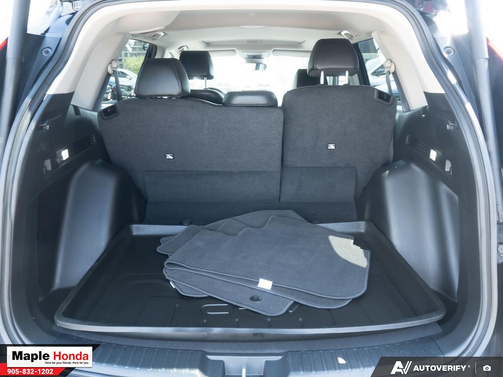 Cargo area open