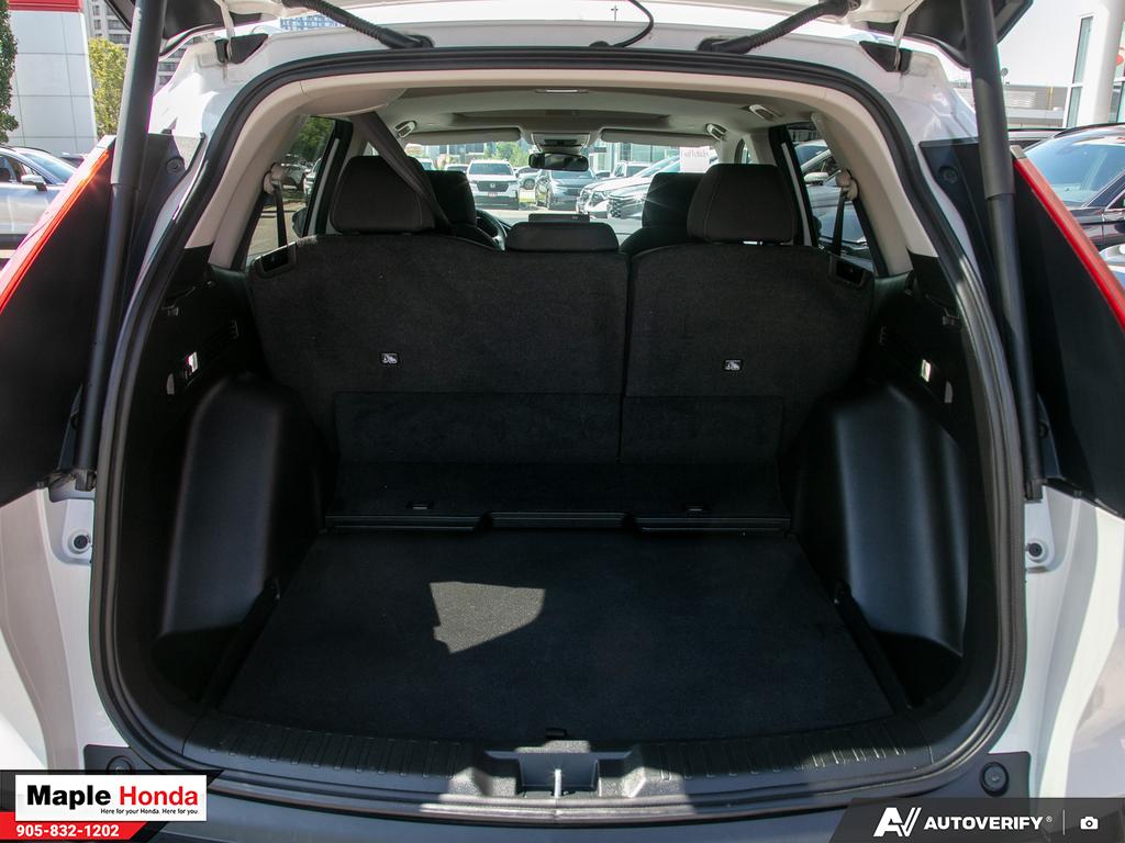 Cargo area open