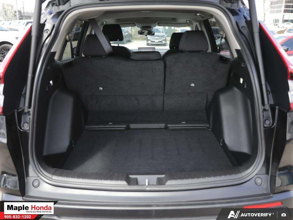 Cargo area open