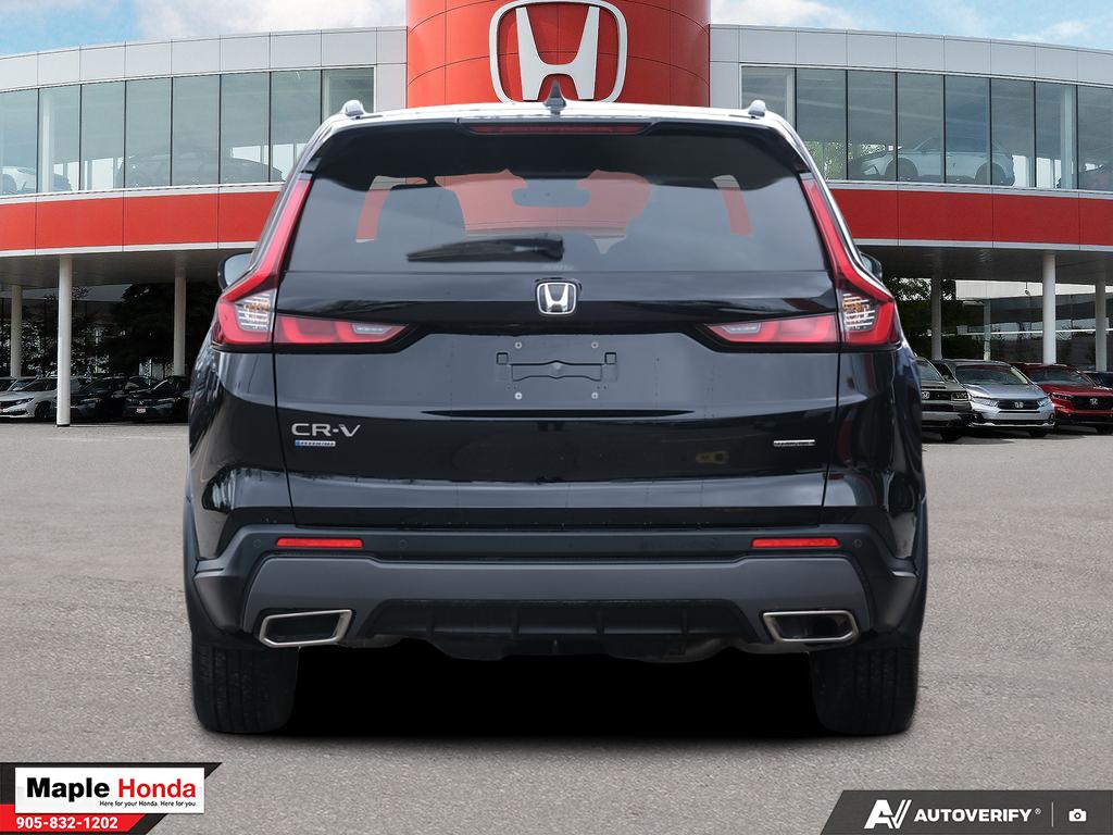 Rear straight-on exterior view