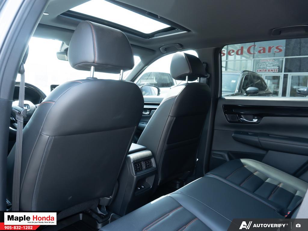 Cabin wide view with panoramic moonroof from rear seat