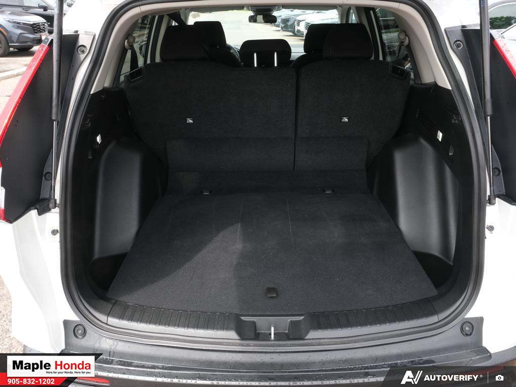 Cargo area open
