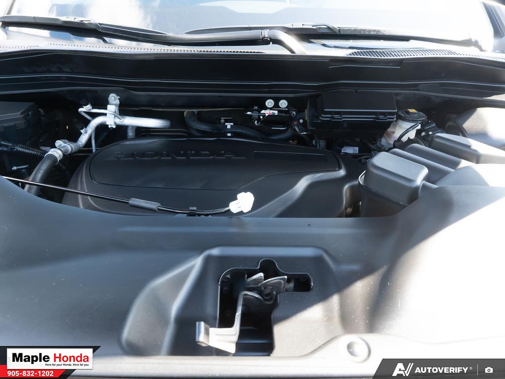 2024 Honda Passport TrailSport — cargo area