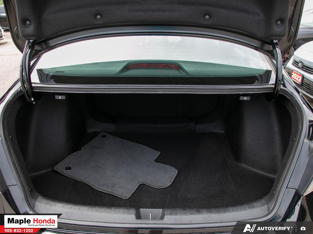 Trunk cargo area open