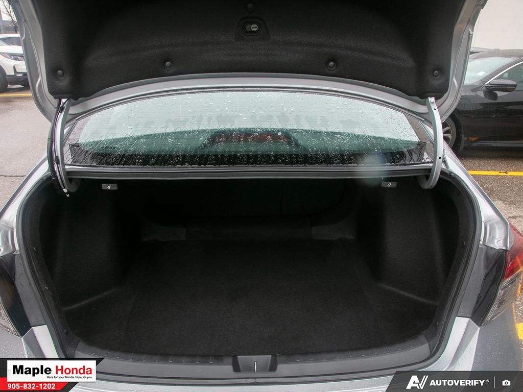 Trunk open with cargo area