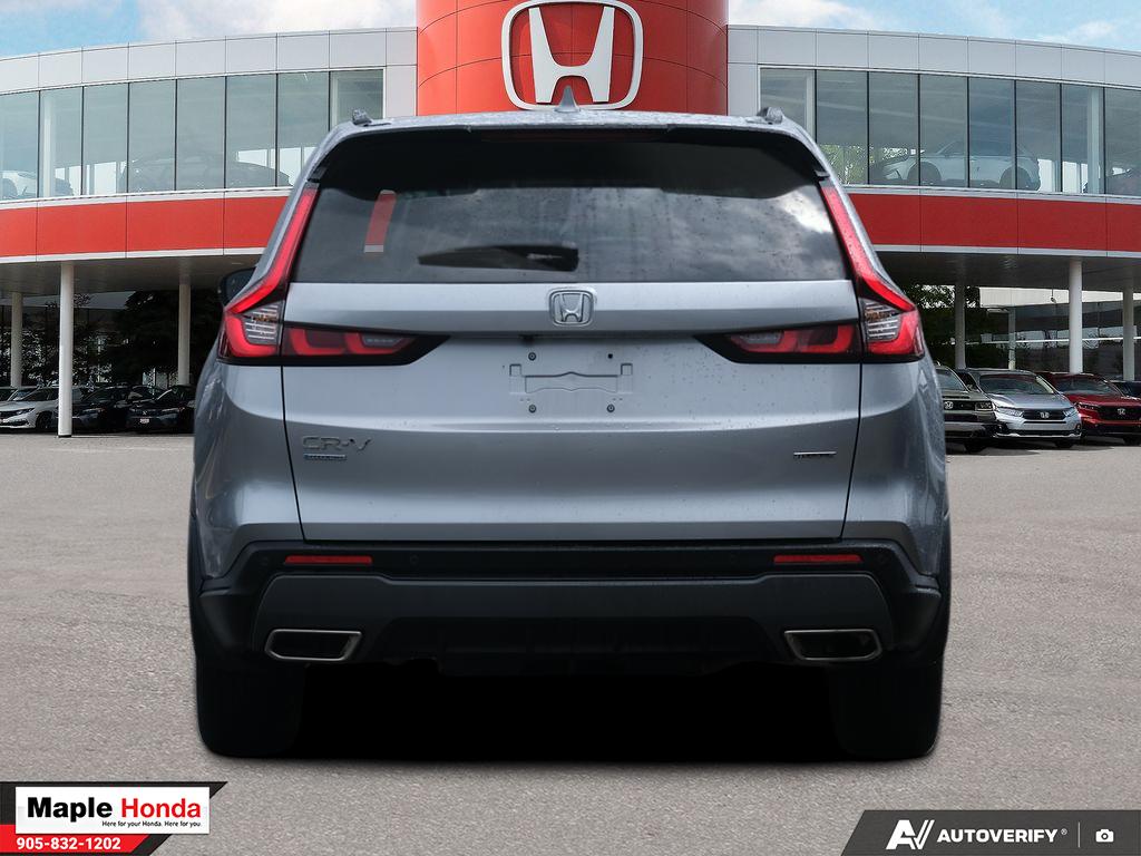 Rear straight-on exterior view