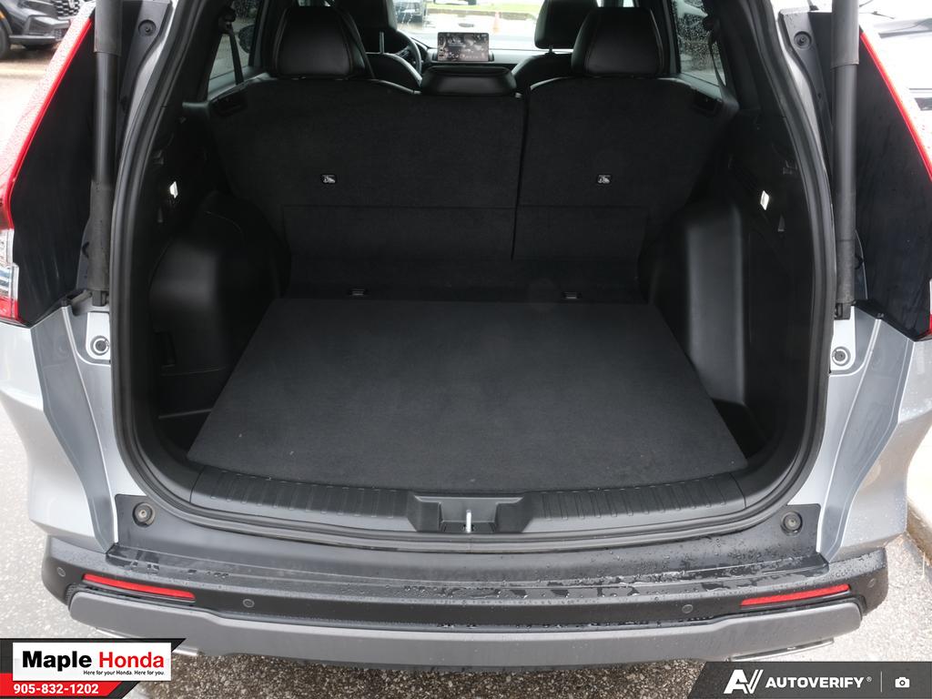 Cargo area open